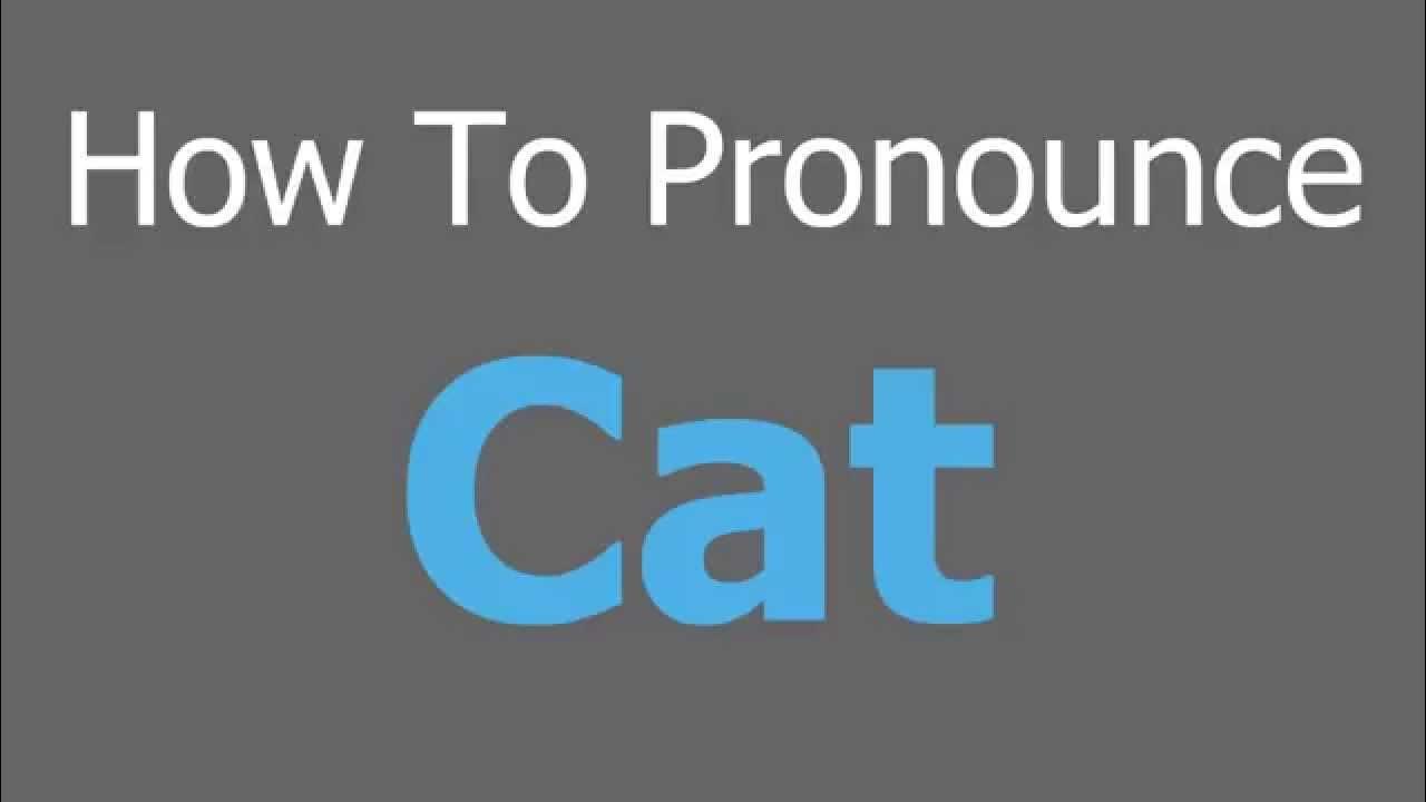 how-to-pronounce-cat-youtube