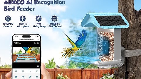 The Bird Lover App User Guide- Everything You Need to Know About the Auxco Smart Bird Feeder