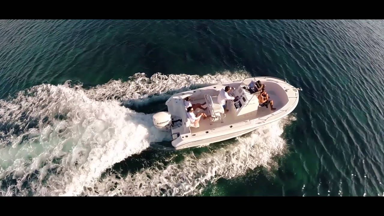 Swimming with Dolphins by catamaran cruises Mauritius