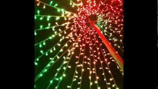 2011 Inside the Mega Tree