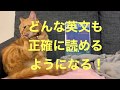 【書籍紹介】英文解釈本の最高峰！