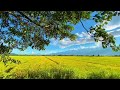 Paisagens Da Natureza