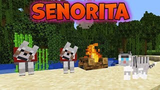 Cat and Dog sings song Señorita (Shawn Mendes, Camila Cabello) MINECRAFT SONG Cat and Dog sings song Señorita (Shawn Mendes, Camila Cabello) MINECRAFT SONG