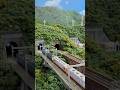 Nゲージ どこかの峠に挑んでいるEF63重連と特急あさま #modeltrains #n #nゲージ #ジオラマ #modeltrains