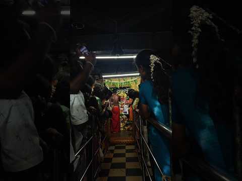 BRAHMOTSAVAM IN KOTIPI #shortvideos #hindupurshasi #hindupur