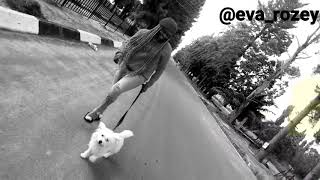 Eva Rozey Falz Ft Eva Rozey Outchea Freestyle ,Instagram Evarozey Freestyle