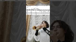 Р.Штраус - соло трубы из &quot;Альпийской&quot; симфонии. #ильясневретдинов#труба#музыка#music#trumpet#tromba