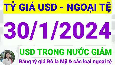 30 usd là bao nhiêu tiền việt năm 2024