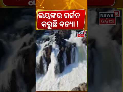 ବନ୍ୟାରେ ବୁଡ଼ିଲା... | Odisha Flood News । Odisha Monsoon News  । Weather Update