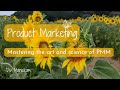 Product Marketing: Mastering the art and science of PMM - Aug 21 2022