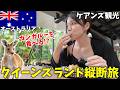 【前編】ケアンズで世界遺産の列車やグレートバリアリーフを大満喫‼️オーストラリア🇦🇺クイーンズランド縦断旅