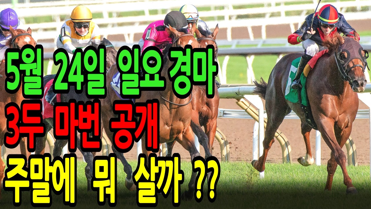 5월 24일 일요일 경마~ 이것저것 사지 말고,  딱 이 말만 사세요 ㅣ승전경마 전문가의 이변 포착 l 경마 l 경마예상 l 코리아레이스 l 검빛경마 ㅣ경마정보