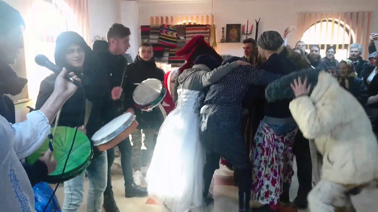 Ursi de la iucsa 😂