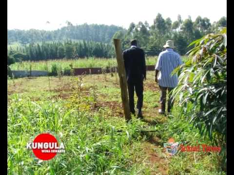 Kungula Sun 29th June 2014