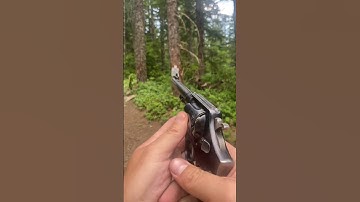 Smith & Wesson M1917, POV Shooting #shorts #smithandwesson