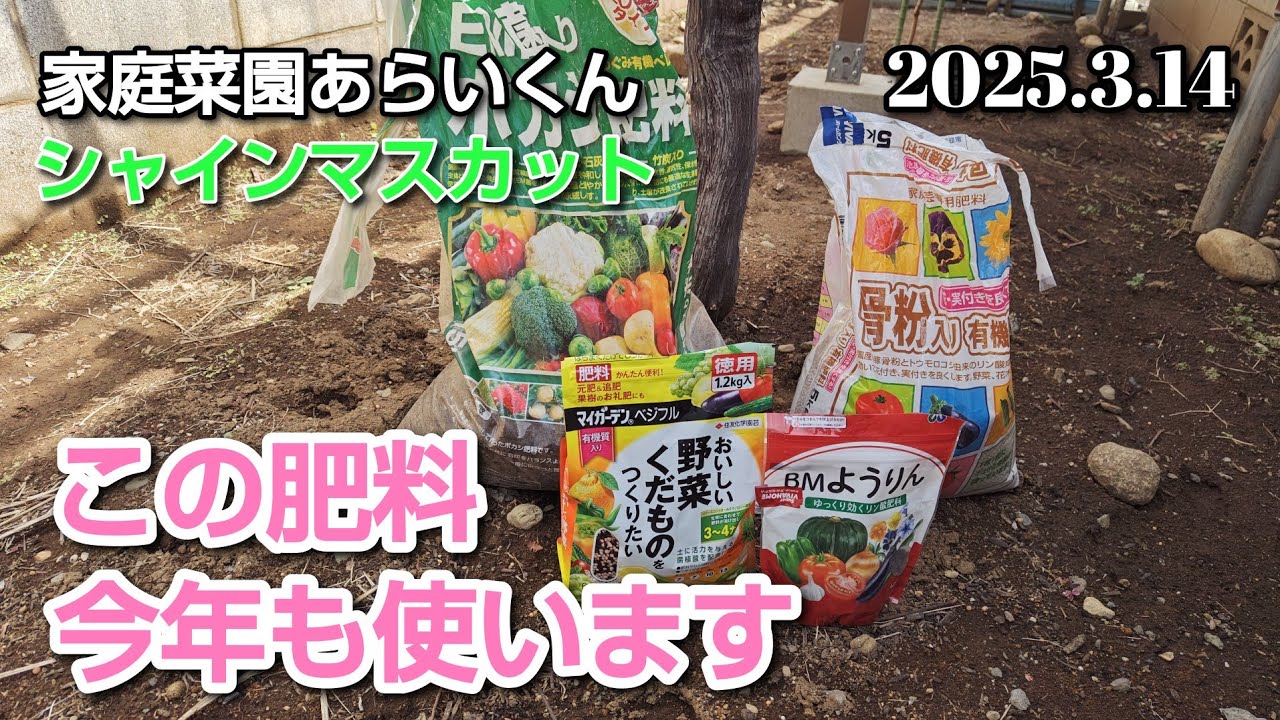 【シャインマスカット】第１７３回、令和７年度最初の肥料撒き【黒系ぶどう】
