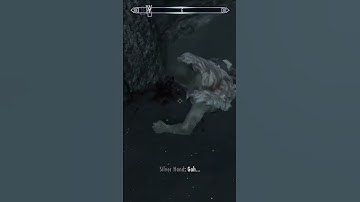 Getting revenge on the Silver Hand (SKYRIM - MASTER DIFFICULTY)