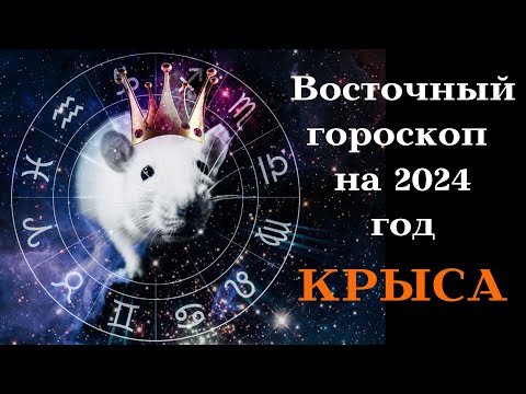 КРЫСА - ВОСТОЧНЫЙ ГОРОСКОП на 2024 год┃#гороскоп #крыса #год #восточный #2024 #китайский #стихия