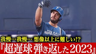 【我慢】想像以上に難しい…!? 『超スローボールを弾き返した 2023』【我慢】