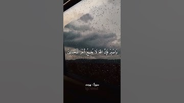 Quran Kareem story 🌸WhatsApp  أجمل قرائه قرآن كريم حالات واتس 🍃 《 سوره هود  》