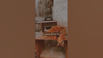 الراحة النفسية 💛عبد الباسط عبد الصمد تلاوة خاشعة حالات واتس اب قرآن كريم