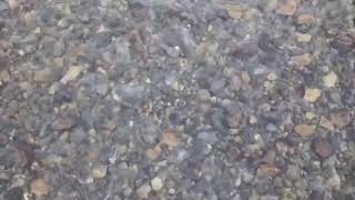 Holden Mine In The Winter