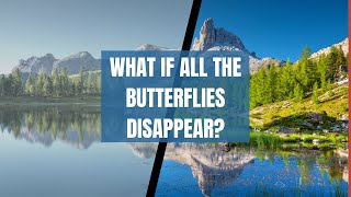 What If Butterflies Disappear Forever | The Butterfly Story | Whizzy Hoots