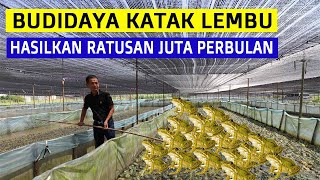 Amazing Technology How to Cultivate and Livestock Frogs with Simple and Profitable Methods