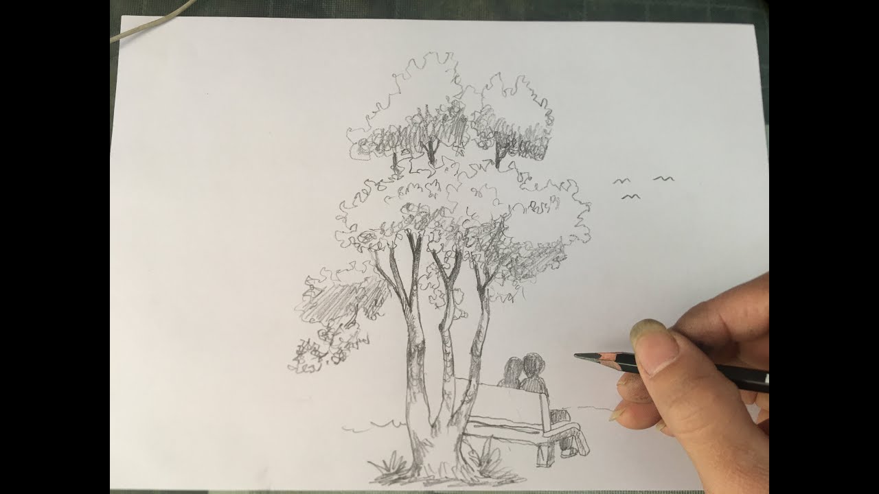 cho dem ky hoa 2022 ký họa| Mĩ thuật 7 Ký họa thiên nhiên | Hướng dẫn vẽ ký họa cây | #Painting #Drowing @Center ART