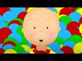 Caillou ve Top Havuzu | Caillou Türkçe - WildBrain