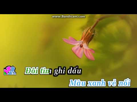 De tra loi mot cau hoi karaoke thieu giong nam