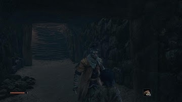 Sekiro: Shadows Die Twice What happened when you beat tutorial boss?