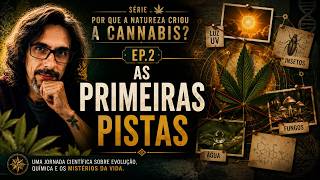 Why Did Cannabis Develop This Chemistry? The First Clues | EP.2
