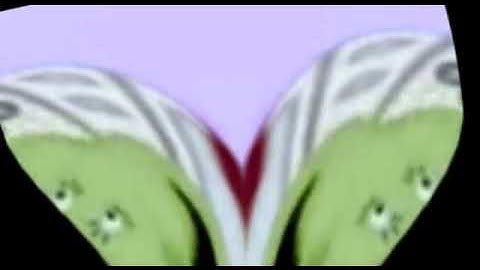 G Major 91 Uses In "NotSoBot_FFMPEG"