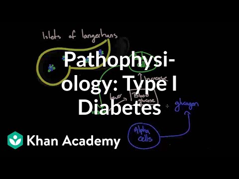 Pathophysiology - Type I diabetes | Endocrine system diseases | NCLEX-RN | Khan Academy