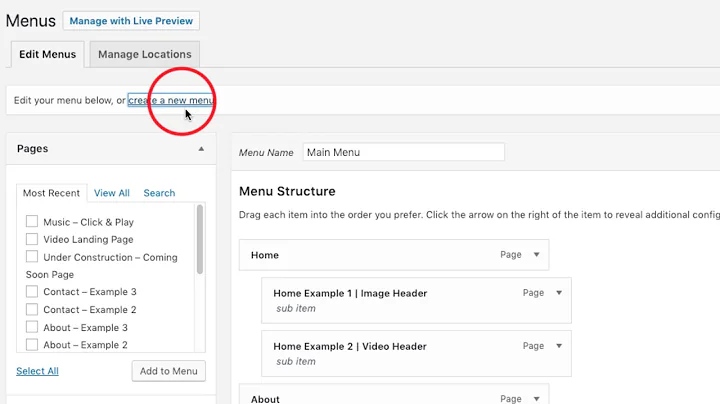 Add, Rename or Remove Menu Items | Sonaar WordPress Themes | Video Tutorials