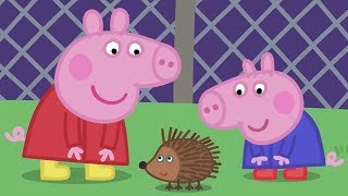 Peppa Pig Meets Mr Hedgehog!