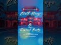 Chill House &amp; Tropical Beats 🌴 Summer Vibes | 1 Hour Mix | Luxury Velvet Sounds #shorts
