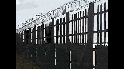 Twinklewounds - Twinklewounds (2023) (Twinkle Emo)