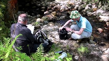Salt dilution gauging at Nant y Mwyn Lead Mine
