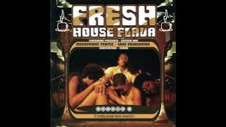 Fresh House Flava Vol 1 Continuous Mix