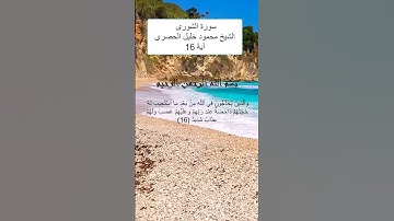 سورة الشورى اية 16وَٱلَّذِينَ يُحَآجُّونَ فِي ٱللَّهِ مِنۢ بَعۡدِ مَا ٱسۡتُجِيبَ لَهُۥ #قران_كريم