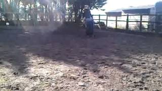 madge flatwork