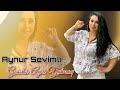 Aynur Sevimli Geceler Ayri Yatmaq 2025 Resmi Musiqi