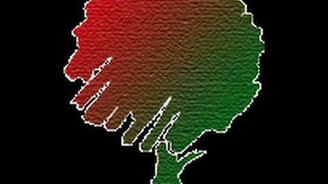 HTML, CSS, JavaScript, Ajax, JQuery, PHP Online Video Bangla Tutorials & Training day 17