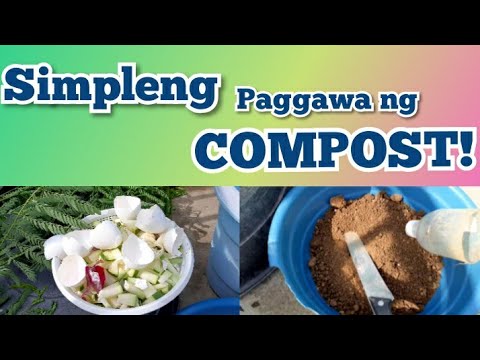 TERRACE CONTAINER GARDEN: Paano ang simpleng paggawa ng compost sa