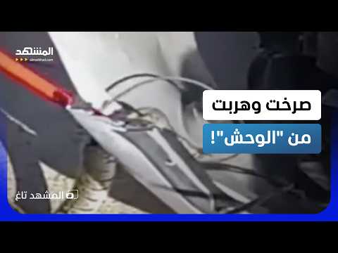 "كأنه وحش".. ثعبان مرعب يباغت سيدة في نيوجيرسي ويختبئ في مكان لا يُصدق - المشهد تاغ