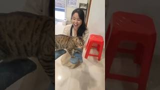 My Cat's New Favorite Party Trick 🐾