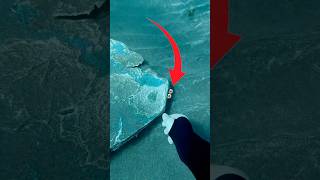 ESTE ANIMAL MARINO VIVÍA DEBAJO DE AQUÍ 😱 #curiosidades #miedo #animales
