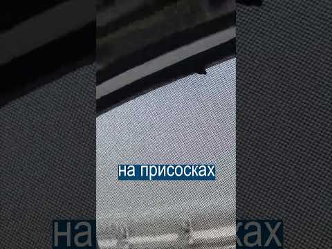 В России Требуют Запретить ИРАНСКУЮ ТОНИРОВКУ